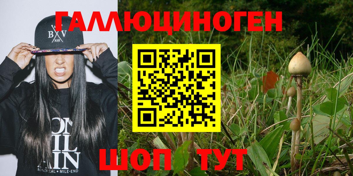 Абакан  Галлюциногенные грибы прущие грибы  Вход с VPN 